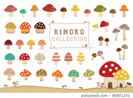 Mushroom illustration set 86801241