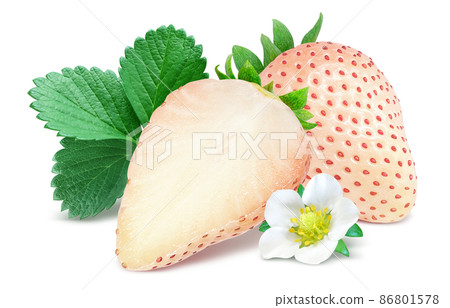 White Chigo White Strawberry Strawberry Illustration Real Light Snow Set 86801578