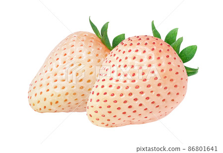 White Chigo White Strawberry Strawberry Illustration Real Light Snow Set 86801641