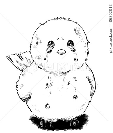 沒有背景的哭鳥的單色插圖 86802018