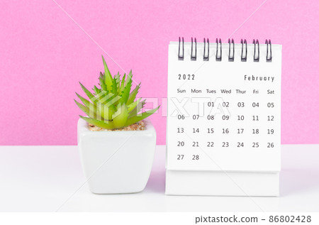 February 2022 desk calendar with plant pot on pink background. 86802428