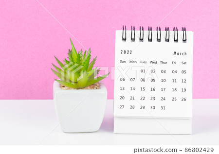 March 2022 desk calendar with plant pot on pink background. 86802429