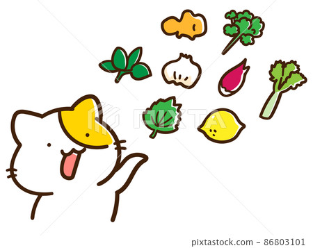 Cute handwritten style illustration set of cat characters and condiment ingredients Cute handwritten style illustration set of cat characters and condiment ingredients 86803101