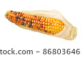 Glass gem jewel maize corn cob(Zea mays)  isolated 86803646