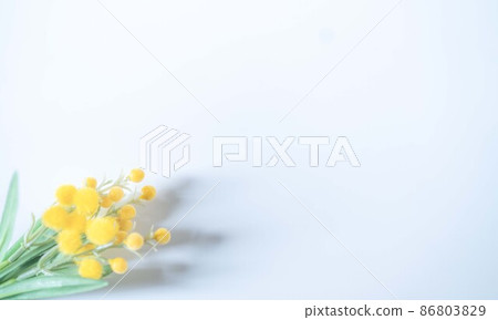 Mimosa frame Mimosa frame 86803829