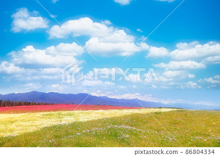 Shinshu of flowers Shinshu of flowers 86804334