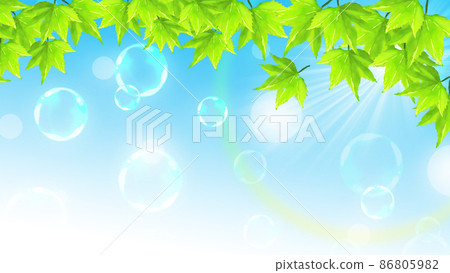 Maple leaf_fresh green image background 86805982