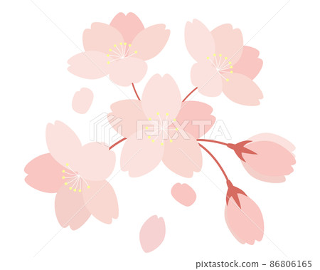 櫻花和花瓣的插圖 Sakura Sakura Somei Yoshino 86806165