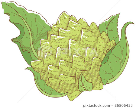 Romanesco 86806433