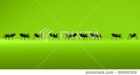 3d rendering, Scene of black ants line up, realistic animal character design, empty space for copy, green color background. 3d rendering, Scene of black ants line up, realistic animal character design, empty space for copy, green color background. 86806509
