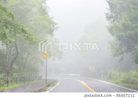 Forest road surrounded by fog 02 86807212