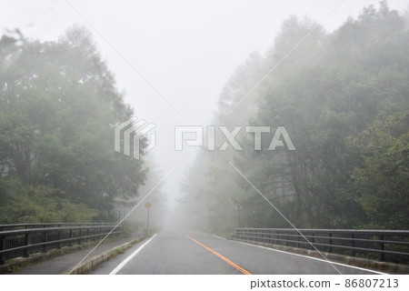 Forest road surrounded by fog 03 86807213
