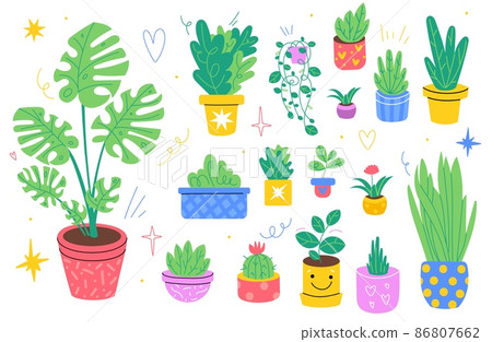 Home plants. Different breeds houseplants, color pots, floriculture and gardening, cozy indoor hobby, doodle style palms and ficuses, monstera and succulents vector set 86807662