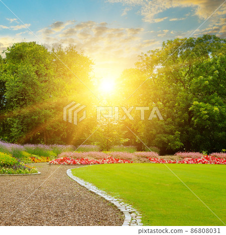 Cozy park with a flower bed and green lawns. Summer evening and sunset. 86808031