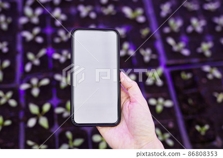 Hand of young female gardener holding smartphone against seedlings Hand of young female gardener holding smartphone against seedlings 86808353