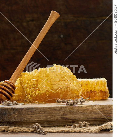 Honeycomb selling Spoon