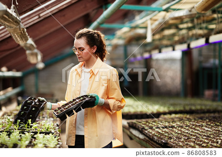 Young woman in workwear of gardener holding sets of small pots with sprouts 86808583
