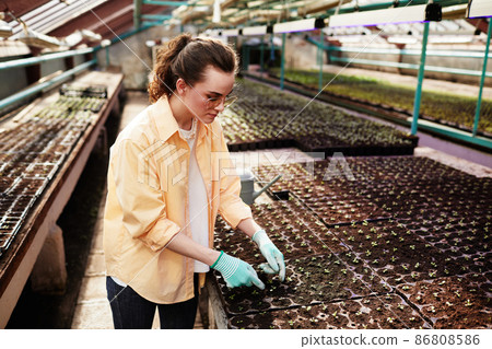 Young female farmer in workwear standing by large table with seedlings Young female farmer in workwear standing by large table with seedlings 86808586