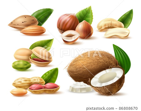 Realistic nuts. 3D natural products. Dry vegetables snacks. Almond and pistachio. Coconut with leaves. Hazelnut kernels or halves. Isolated peanuts and cashew pieces. Vector food set Realistic nuts. 3D natural products. Dry vegetables snacks. Almond and pistachio. Coconut with leaves. Hazelnut kernels or halves. Isolated peanuts and cashew pieces. Vector food set 86808670