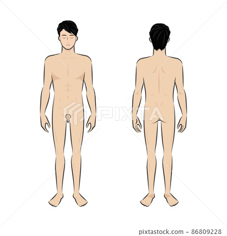 Male body vector illustration isolated on white - Stock Illustration  [76139188] - PIXTA