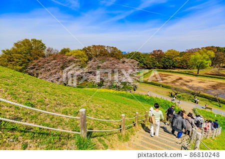 櫻花盛開的埼玉縣行田市埼玉古墳群 櫻花盛開的埼玉縣行田市埼玉古墳群 86810248