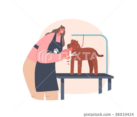 Hairdresser Female Character Provides Grooming Service, Cutting Puddle Dog with Scissors in Salon, Domestic Animal Hairdresser Female Character Provides Grooming Service, Cutting Puddle Dog with Scissors in Salon, Domestic Animal 86810424