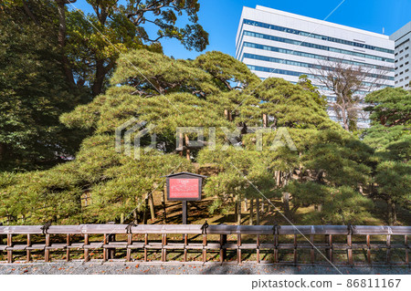 [Tokyo / Coast] Hamarikyu Gardens 300 Year-Old Pine and its explanatory sign. 86811167