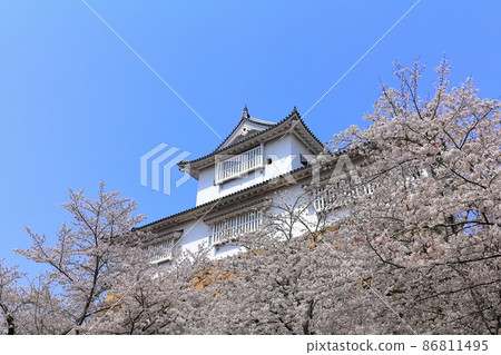 [Okayama Prefecture] Tsuyama Castle in the spring when cherry blossoms bloom (Binaka turret) 86811495