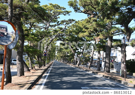 Former Tokaido Maisaka pine tree lined 86813012