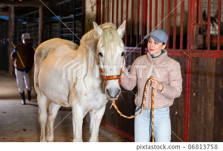 Young horsewoman caressing horse while leading to stall after riding 86813758