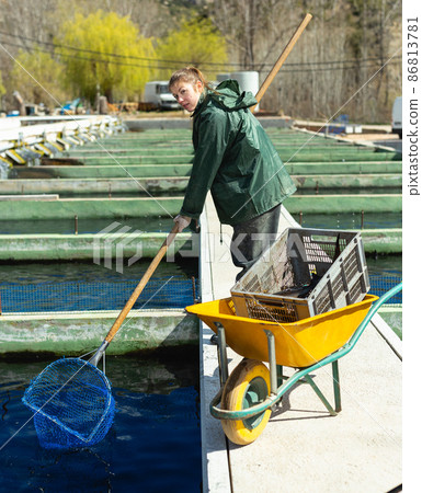Woman catching sturgeon at fish farm Woman catching sturgeon at fish farm 86813781