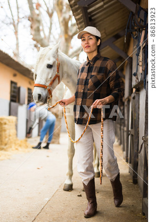 Woman horse holder leading white horse on farm 86813923