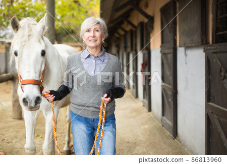 Mature woman jockey leads white horse by the bridle on the street along stable 86813960