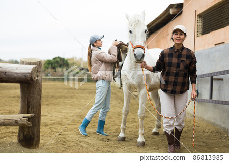 Women horsebreeders equipping horse 86813985