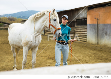 Female jockey walking white horse in paddock Female jockey walking white horse in paddock 86813986