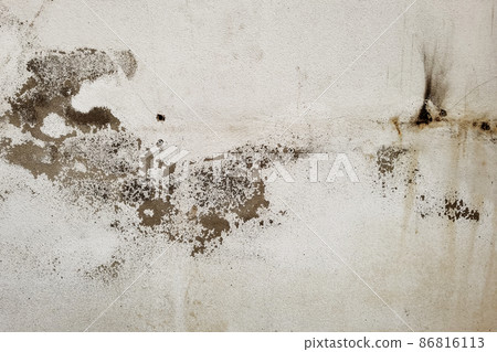 Concrete cement cracked wall texture Concrete cement cracked wall texture 86816113