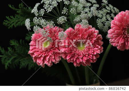 Pink gerbera and small cute white flowers Pink gerbera and small cute white flowers 86816742