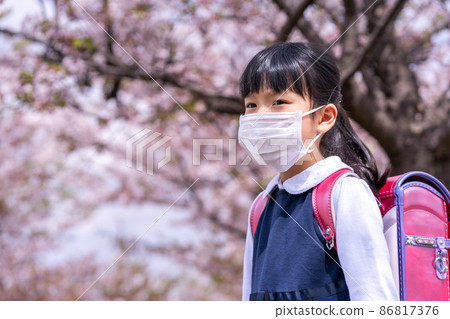 Girl in school bag under the cherry blossoms Girl in school bag under the cherry blossoms 86817376