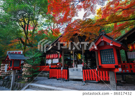 Autumn leaves of Kyoto Nomiya Shrine Autumn leaves of Kyoto Nomiya Shrine 86817432