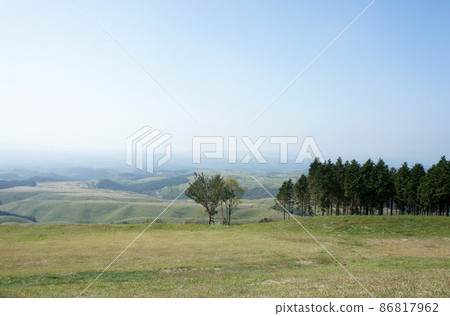 Natural grassland scenery Natural grassland scenery 86817962