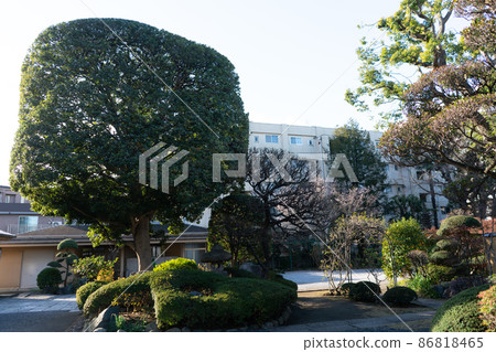 曹洞宗 Iozen Naruganji 曹洞宗 Iozen Naruganji 86818465