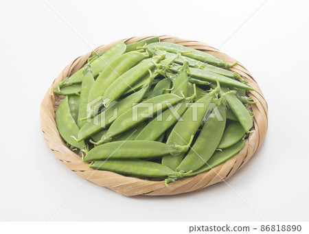 絲鞘 86818890