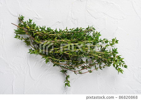 Fresh thyme herb 86820868