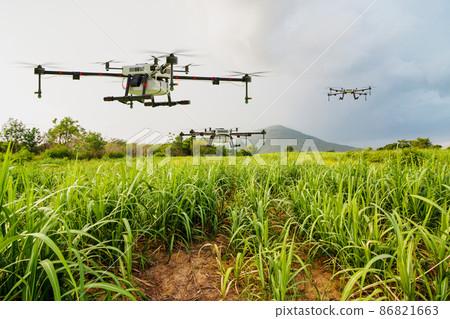 Agriculture drone flying on sugar cane farm to sprayed fertilizer 86821663