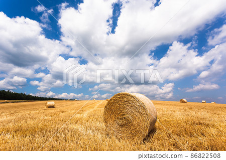 Biei, Hokkaido in August, summer scenery, Japan 86822508