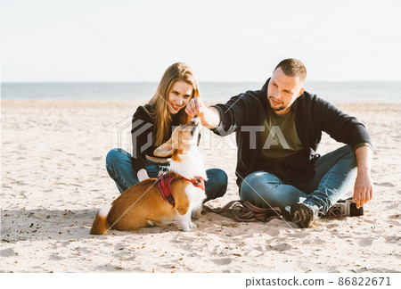 Young happy couple of man and woman with corgi dog siting at sand. Two persons, male feeding pet Young happy couple of man and woman with corgi dog siting at sand. Two persons, male feeding pet 86822671