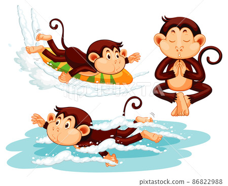 Three monkeys doing different activities Three monkeys doing different activities 86822988