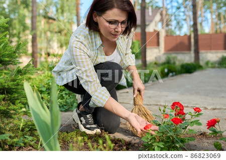 Woman sweeping with a broom in the yard Woman sweeping with a broom in the yard 86823069