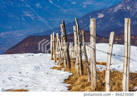 Fence made of Barbed Wire and Wooden Posts for Grazing and Agriculture Fence made of Barbed Wire and Wooden Posts for Grazing and Agriculture 86823080