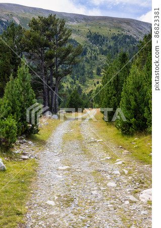 Summer landscape in La Cerdanya, Pyrenees mountain, Catalonia, Spain. 86823381